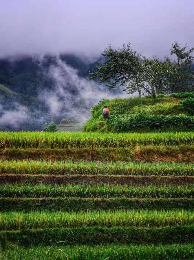 Longji Terrace La Vie Inn Lungseng Kültér fotó