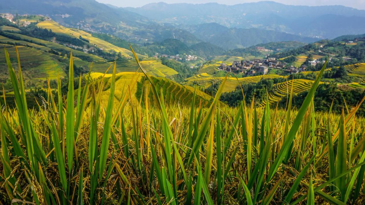 Longji Terrace La Vie Inn Lungseng Kültér fotó